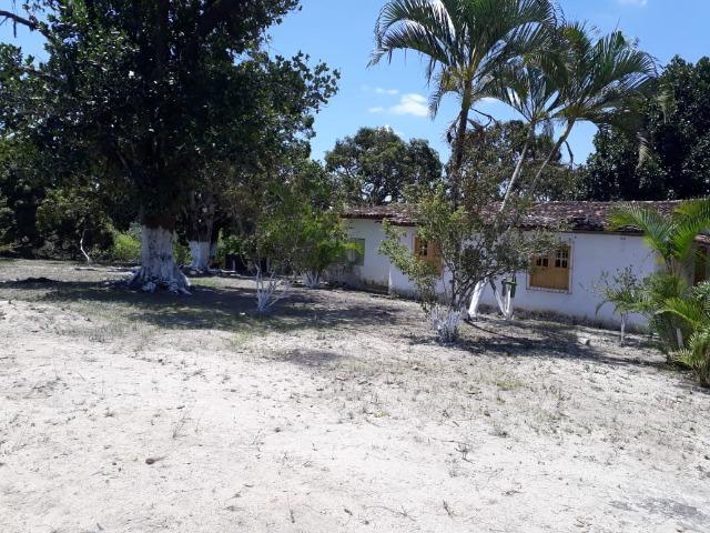 Belíssimo sitio em Chã Grande (o melhor e mais saudável clima de PE) - Foto 11
