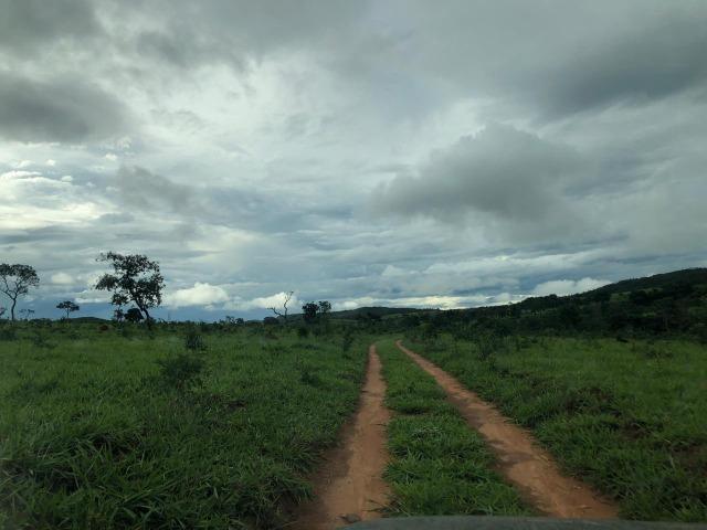 240 Alq. 160 km de Goiânia. (Gado e Soja) - Foto 6