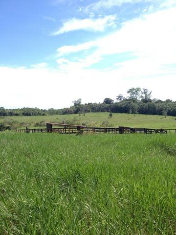 Fazenda de 606 hectares, S. Joao da Baliza De porteira fechada. ler descrição do anuncio - Foto 15