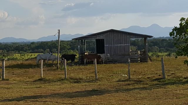 Fazenda de 4250 hectares no Cantá, na Serra da lua, ler descrição do anuncio - Foto 3