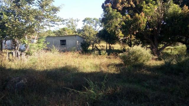 Fazenda no município de faina-GO! 24 Alqueires! - Foto 17