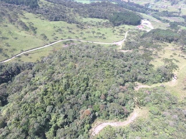 Sitio em Urubici /chácara em Urubici /área rural em Urubici - Foto 13