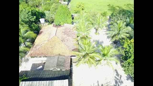 Oportunidade Única - Vendo Fazenda 1000 ha - Foto 3