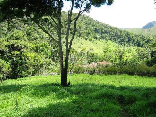 Fazenda rural à venda, Sebastiana, Teresópolis. - Foto 12