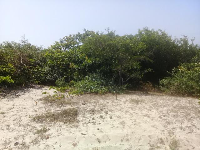 Vendo Terreno Atins Lençóis Maranhenses - Foto 3