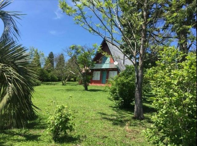 Vinícola em Gramado em produção - Foto 12