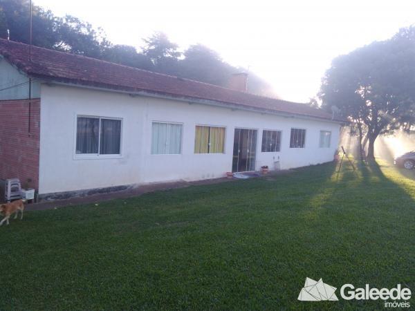 Chácara Barro Preto São José dos Pinhais - Foto 3