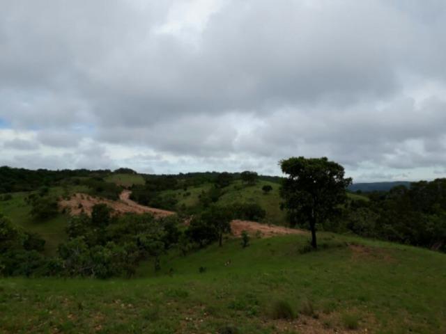 100 Hectáries 70 Km de Cuiabá - Foto 8