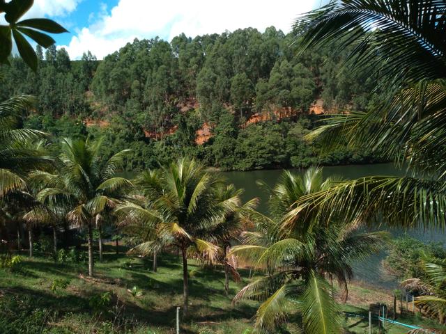 Venda: tel: whatsapp * - Foto 3