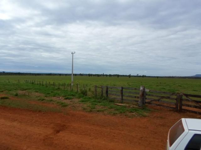 Fazenda 15000 hectares em vila bela, ha 60 km ponte e Lacerda - Foto 2