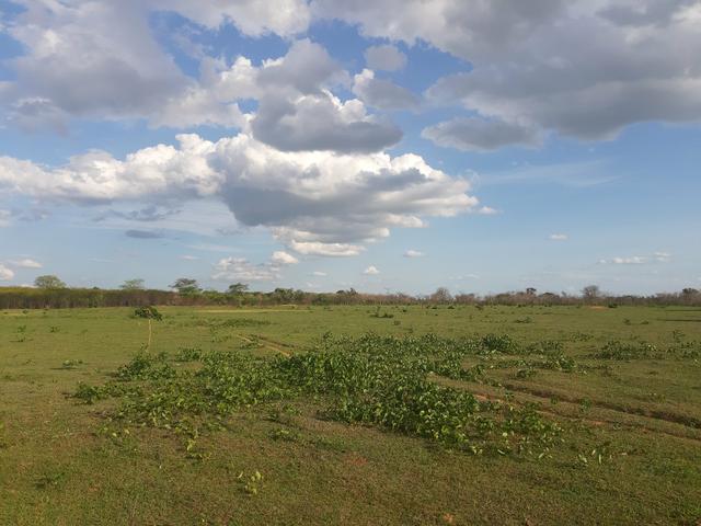 Vendo fazenda em crateus ce ou troco - Foto 6