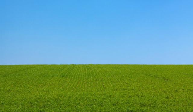 Busco Propriedades para Arrendamento - Propriedade Rural - Ótimo Negócio