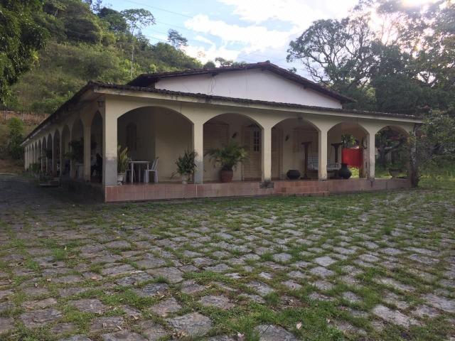 Vendo Chácara em Ribeirão PE - 10 hectares - Foto 4