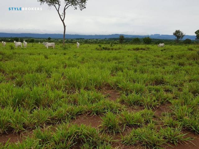 Fazenda em Porto Esperidião - Foto 16