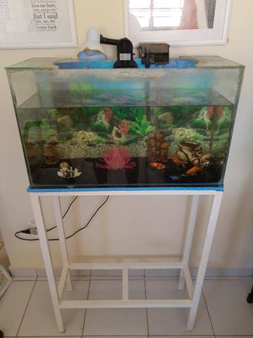 Aquário de 80 litros mais móvel