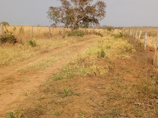 Fazenda para Pecuaria com 1.100 hectares na beira no Lago do Manso - Foto 9