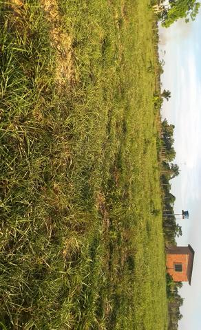 Vende-se terrenos - Foto 2