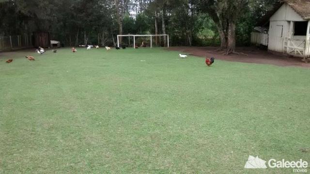 Chacara|Área com 60.000m² em São José dos Pinhais - Foto 3