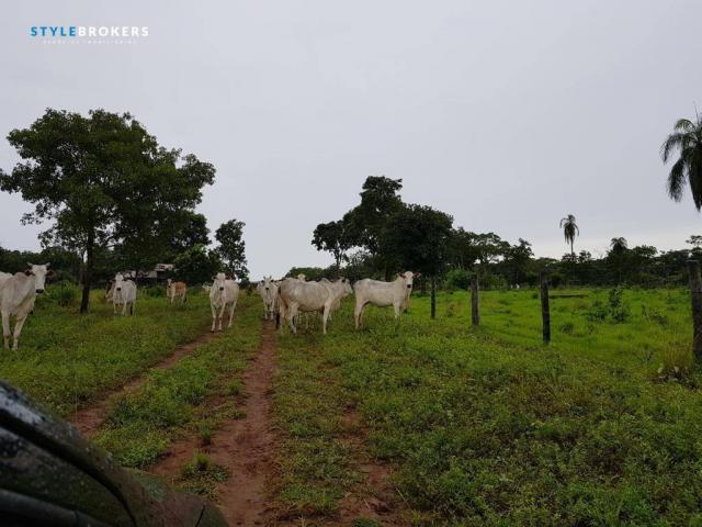 Fazenda em Porto Esperidião - Foto 2