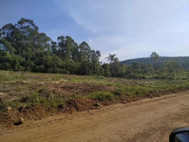 Chacrinha Portao - Foto 2