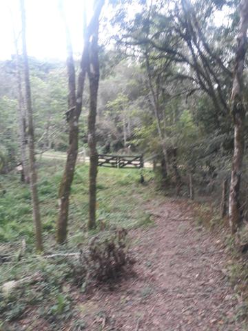 Vende se - Foto 4