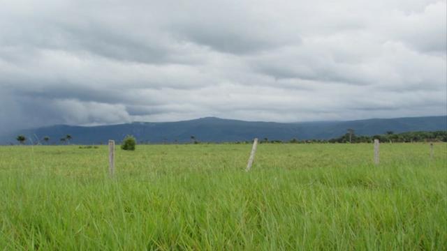 Fazenda 15000 hectares em vila bela, ha 60 km ponte e Lacerda - Foto 8