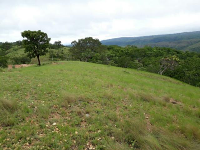 100 Hectáries 70 Km de Cuiabá - Foto 7