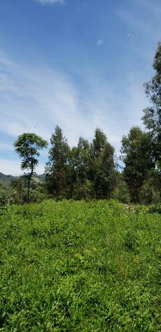 Sitio chácara em Urubici/ área rural