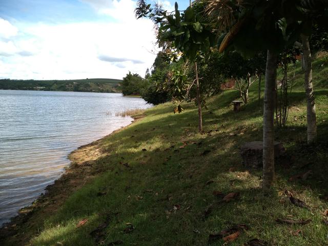 Venda: tel: whatsapp * - Foto 7