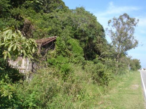 Terreno, Pântano do Sul, Florianópolis-SC - Foto 4
