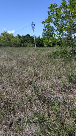 Terreno Olhos dagua