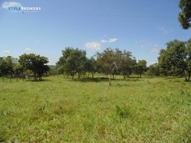 Fazenda à venda, 800000 m² por R$ 550.000,00 - Zona Rural - Nossa Senhora do Livramento/MT - Foto 7