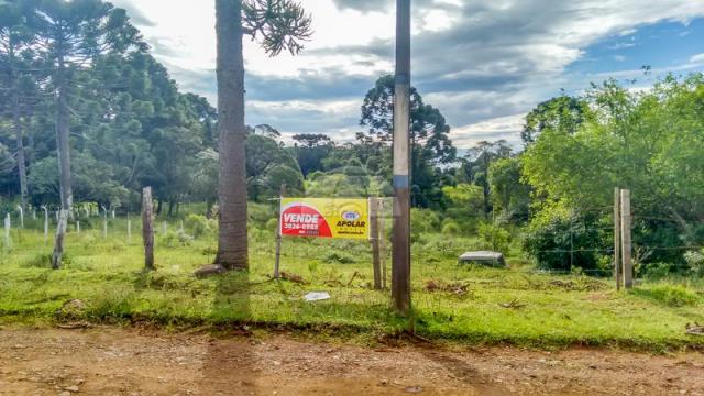 Terreno à venda em Boqueirão, Guarapuava cod:142198 - Foto 4