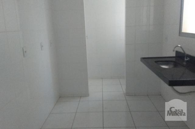 Apartamento à venda com 3 dormitórios em Jardim américa, Belo horizonte cod:249515 - Foto 8