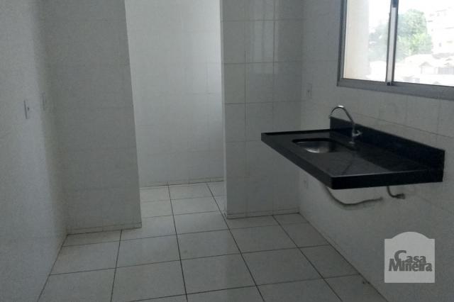 Apartamento à venda com 3 dormitórios em Jardim américa, Belo horizonte cod:249515 - Foto 7