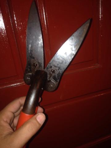 Tesoura de poda antiga e Apua - Foto 6