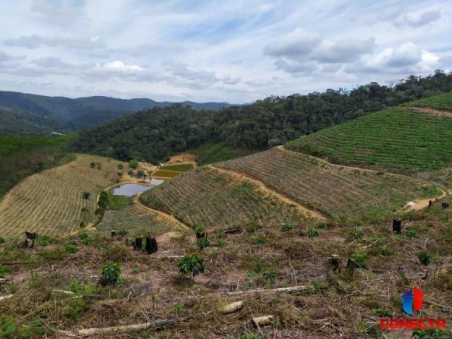 Terreno para Venda em Santa Maria de Jetibá, Centro - Foto 6
