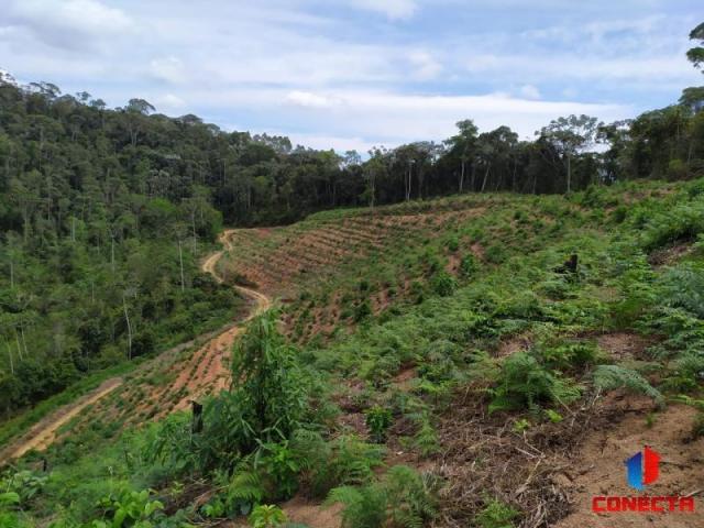 Terreno para Venda em Santa Maria de Jetibá, Centro - Foto 5