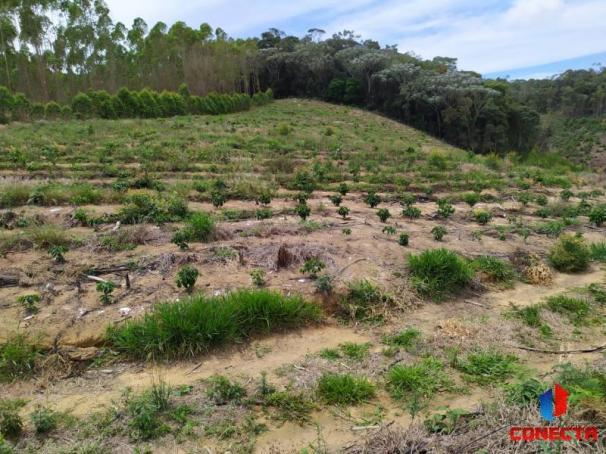Terreno para Venda em Santa Maria de Jetibá, Centro - Foto 17