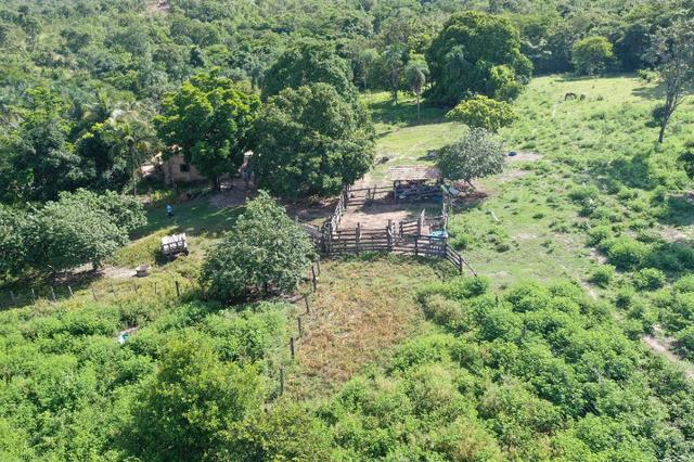 Fazenda de 25 Alqueires, Município Araguapaz-Go - Foto 2
