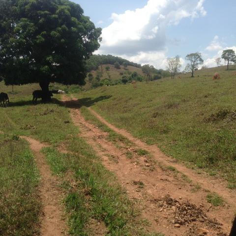 Fazenda caruru Valor R$ 1,400,000 - Foto 13
