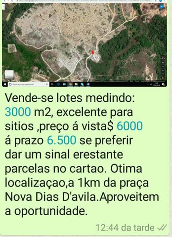 Terrenos - Foto 6