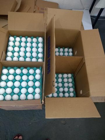 Distribuidora de ovos - Foto 4