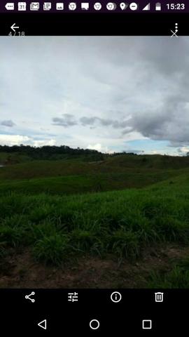 Fazenda ( Colônia) - Foto 11