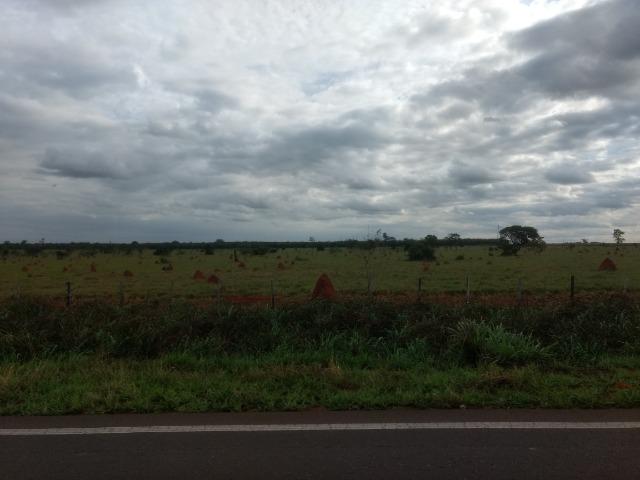 Alugo Fazenda p Arrendamento no Ms 1000 há - Foto 12