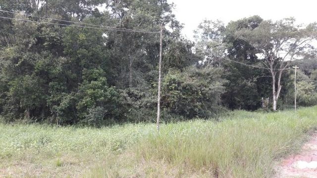 Terreno à venda, 624 m² por R$ 65.000,00 - Praia do Imperador - Itapoá/SC - Foto 5