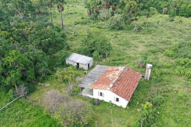 Fazenda no município de faina-GO! 24 Alqueires!