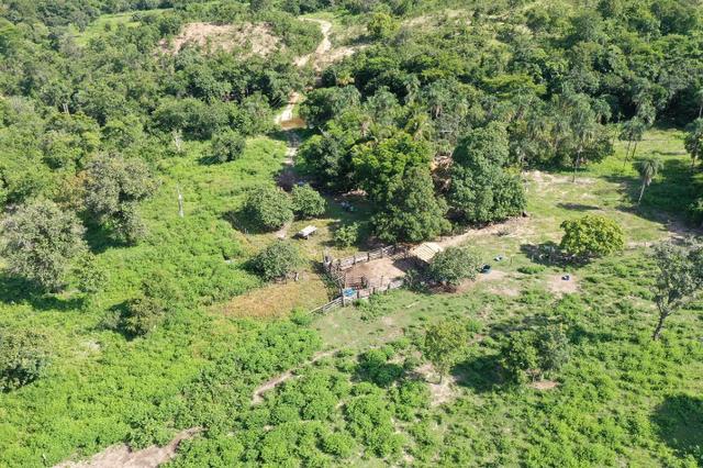Fazenda de 25 Alqueires, Município Araguapaz-Go - Foto 7