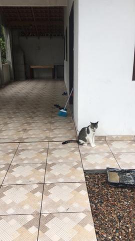 Aluga-se casa na praia de Itapoa 200,00 diaria - Foto 10