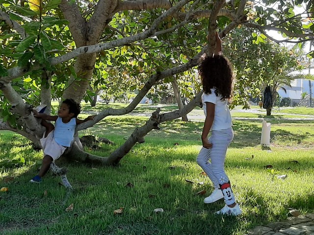 Casa Grande Angra de Ipioca / Hibiscos  - Foto 15